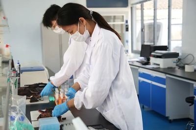 紹興三項目榮登首批‘浙里食安’示范市縣名單，互聯網數據服務賦能食品安全監管