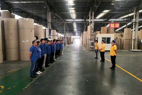 花園建材榮膺東陽市中小企業市長科技創新獎，引領行業綠色轉型新篇章