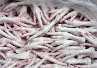 牲畜批發零售市場全解析 價格、廠家與全球采購趨勢