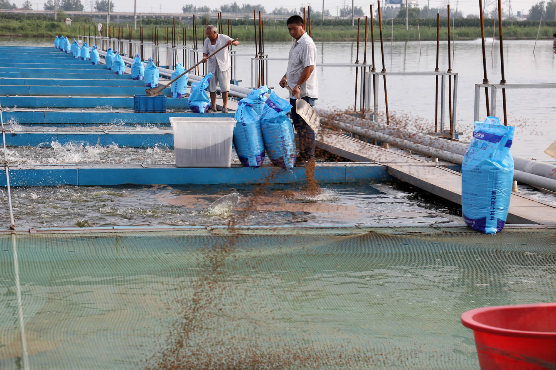 綠色引擎驅(qū)動(dòng)產(chǎn)業(yè)升級(jí)——市農(nóng)辦主任、農(nóng)業(yè)農(nóng)村局局長(zhǎng)楊中校赴德清調(diào)研水產(chǎn)養(yǎng)殖業(yè)綠色發(fā)展