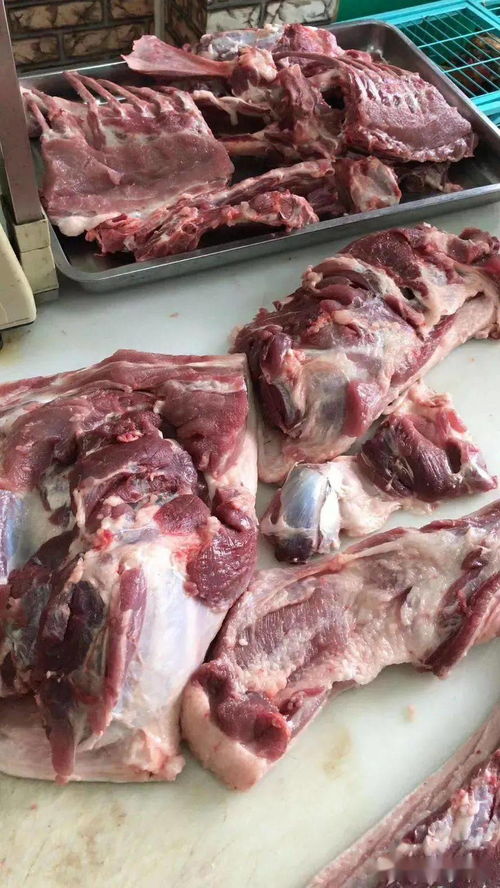 發酵飼料對提升動物肉品質的科學機理與應用研究佐證